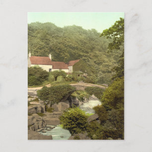 Jesmond Dene I, Newcastle-on-Tyne, England Postcard