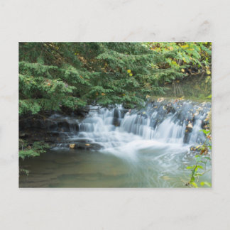 Jesmond Dene Postcard