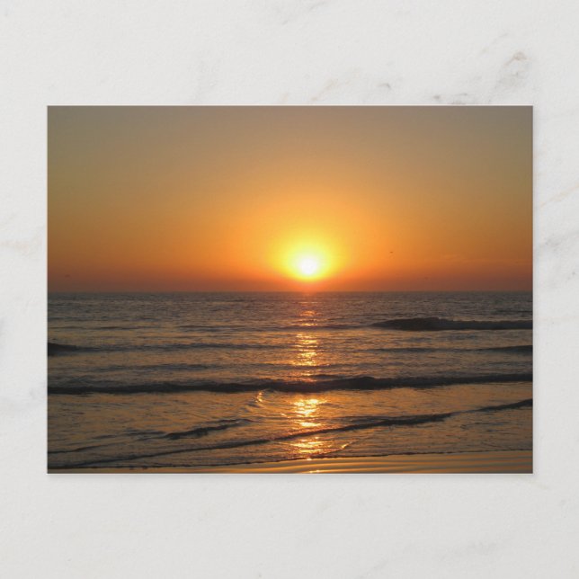 Jess' Pix 146_3 Postcard (Front)