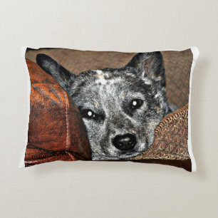 Jessie...the Texas Heeler Pillow