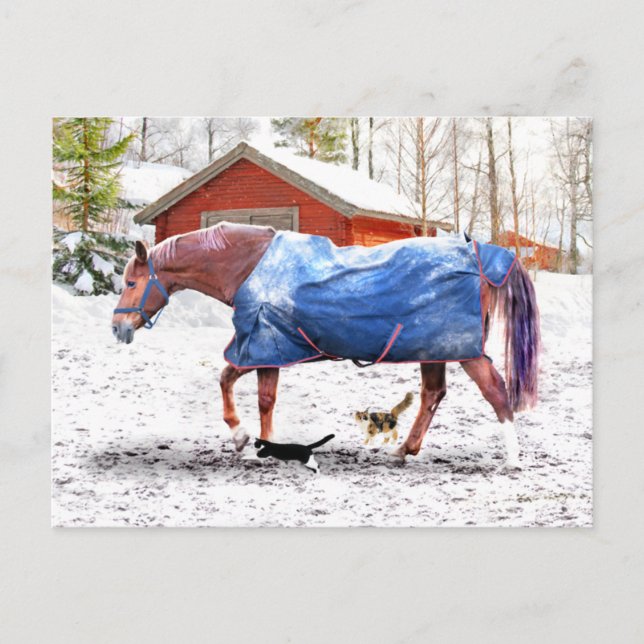 "Jessie's New Blanket"  Postcard (Front)