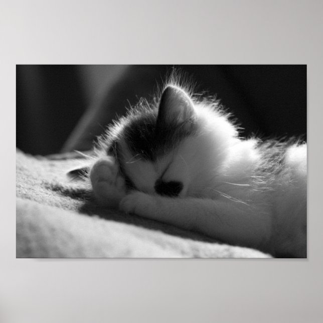 Jessy Jane - Small poster (Front)