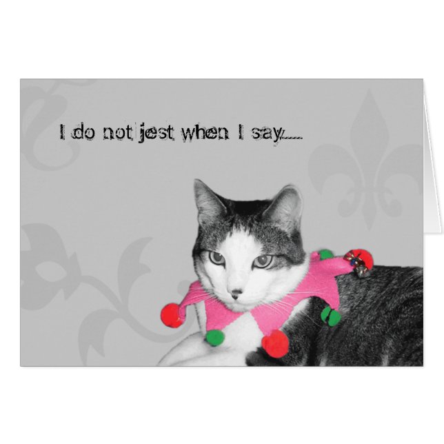 Jester Cat (Front Horizontal)