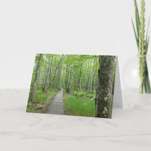 Jesup Path Boardwalk Trail Card