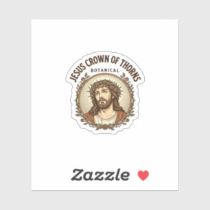 Jesus Crown Of Thorns Botanical Jesus Crown Thorns