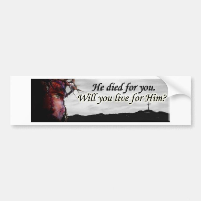Jesus died for you, will you live for Him? Bumper Sticker (Front)