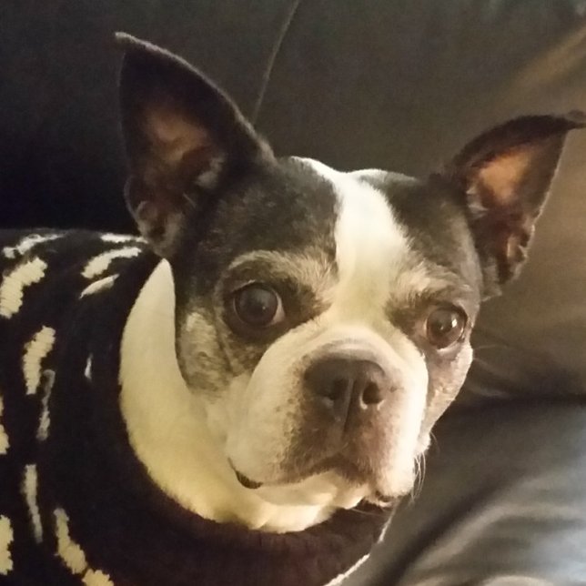 Jesus Follow Me Notepad, Christmas, Gifts, Unique Notepad (Creator Uploaded)