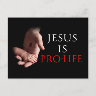 Jesus Is Pro-Life Postcard