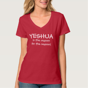 JESUS IS THE REASON FOR EVERYTHING T-SHIRT