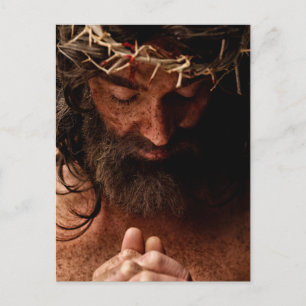 Jesus praying using crown of thorns postcard