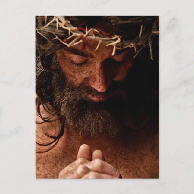 Jesus praying using crown of thorns postcard (Front)