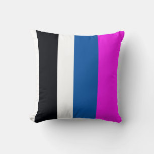 Jet Black, Pure White, Teal Blue, Hot Pink Stripes Cushion