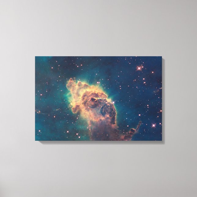 Jet in Carina Wrapped Canvas (Front)