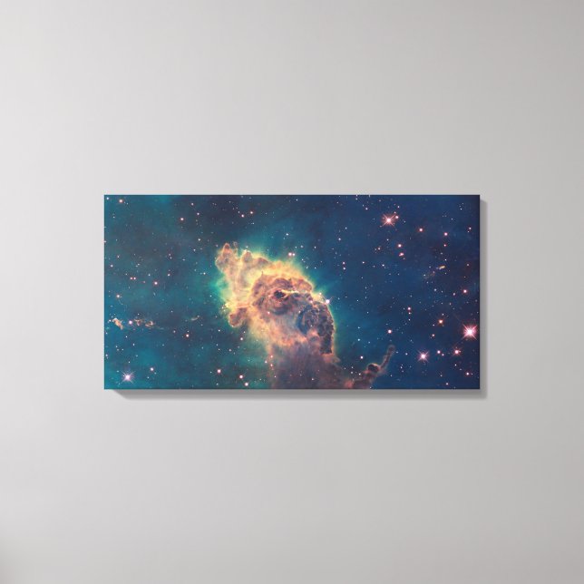 Jet in Carina Wrapped Canvas (Front)