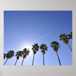 Jet Stream Over Palm trees Poster