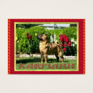 Jetta Shar-pei Profile Cards