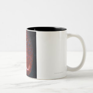 Jewel Grouper, Cephalopholis miniata Two-Tone Coffee Mug