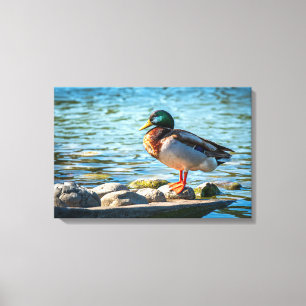 Jewel of the Quiet Shore Canvas Print