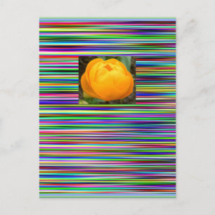 Jewel Stripes TULIP POSTCARD