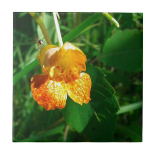 Jewel Weed, Wildflower Tile