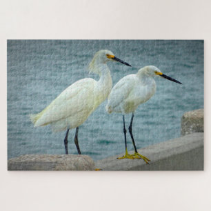 Jewellery  Herons Florida Jigsaw Puzzle