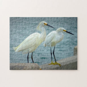 Jewellery  Herons Florida Jigsaw Puzzle