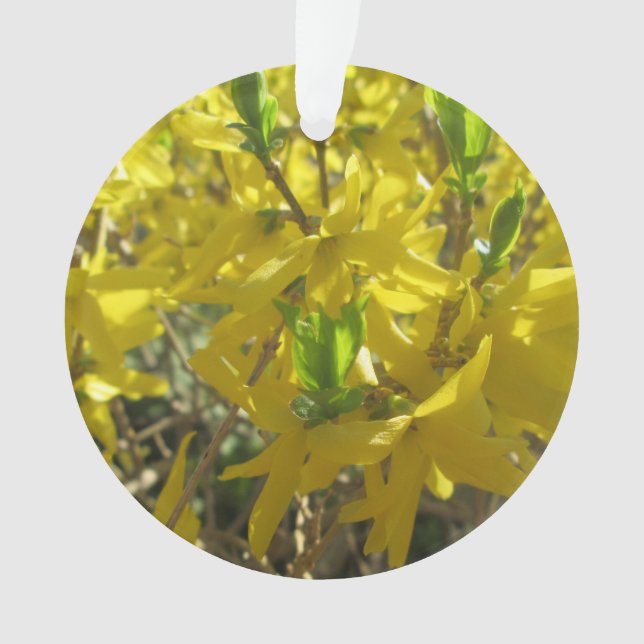 Jewellery - Pendant - Forsythia Ornament (Front)