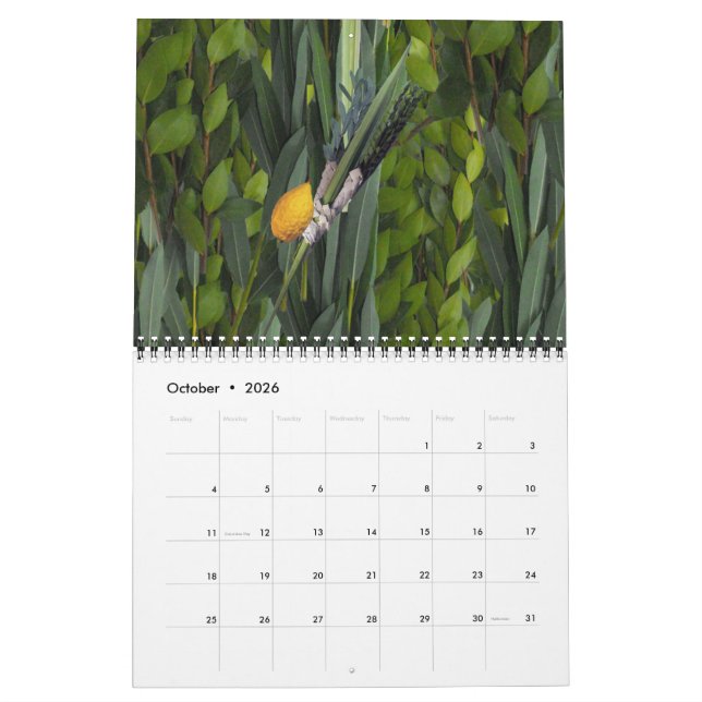 Jewish Life Calendar (Oct 2026)