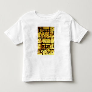 Jewish Passover, from Provins Toddler T-Shirt