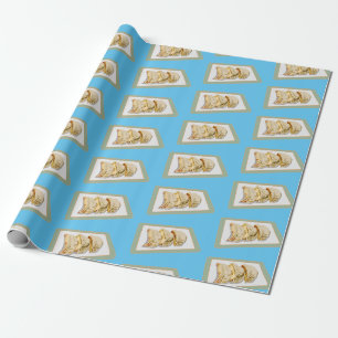 Jiaozi / Chinese dumplings cartoon illustration Wrapping Paper