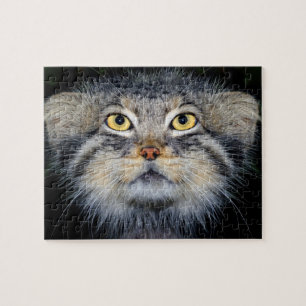 jigsaw - pallas cat jigsaw puzzle