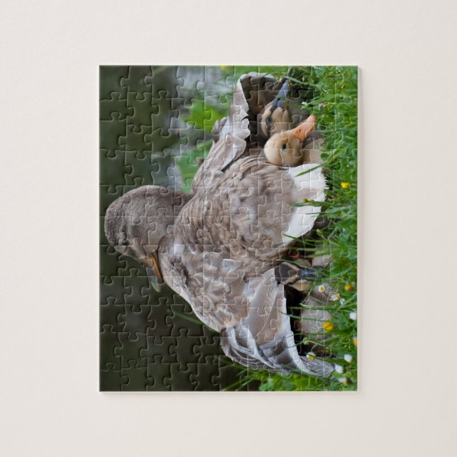 Jigsaw Puzzle: Mallard duck and ducklings Puzzle (Vertical)