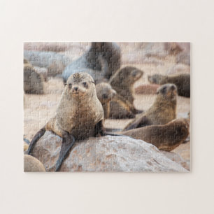 Jigsaw puzzle of a seal cub lying on a rock.