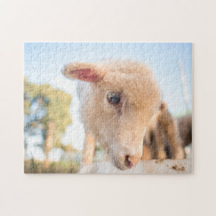 Jigsaw Puzzle of Little Lamb