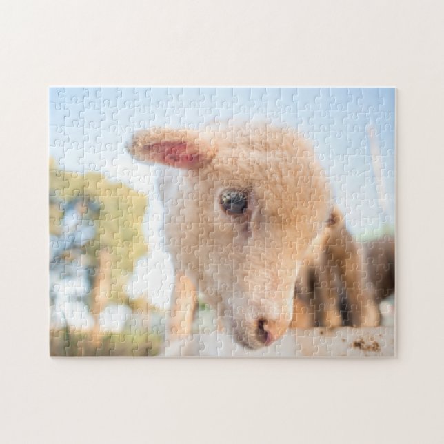 Jigsaw Puzzle of Little Lamb (Horizontal)