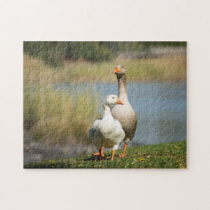 Jigsaw Puzzle of Two Geese