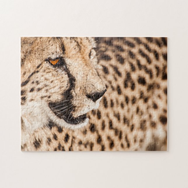 Jigsaw puzzle Portrait of a Cheetah (Horizontal)