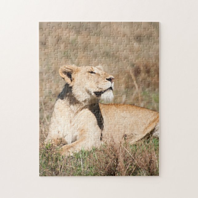 Jigsaw puzzle Portrait of a Lioness (Vertical)