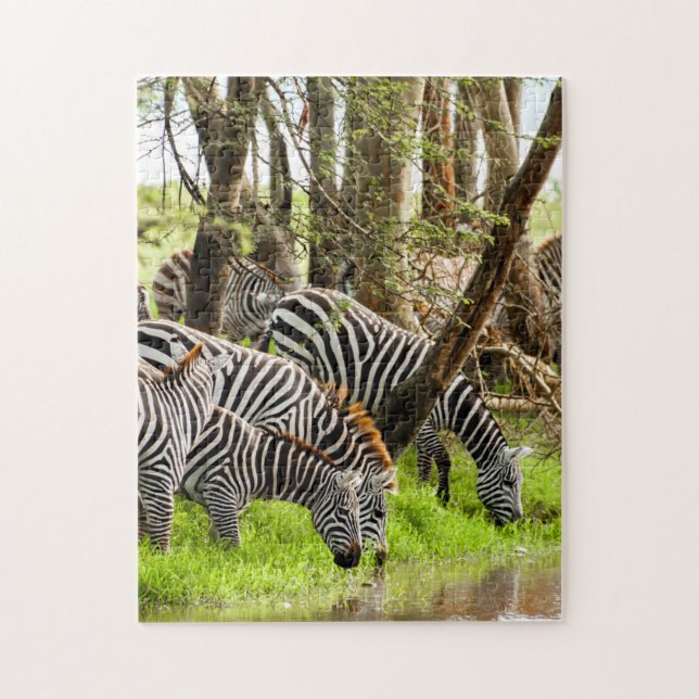 Jigsaw puzzle Zebras by the river (Vertical)
