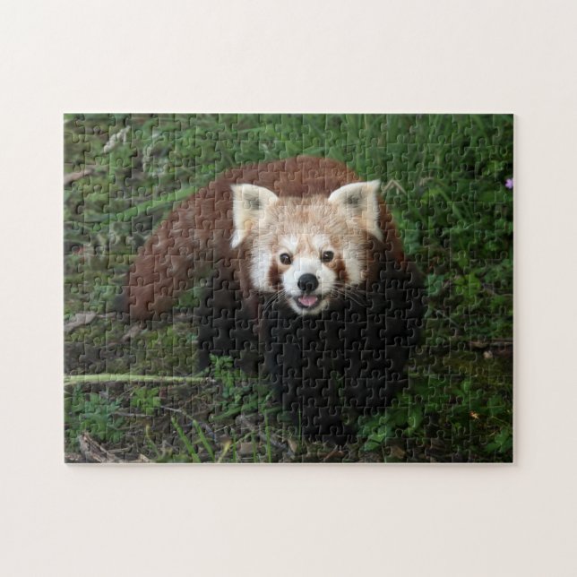 jigsaw - red panda puzzle (Horizontal)
