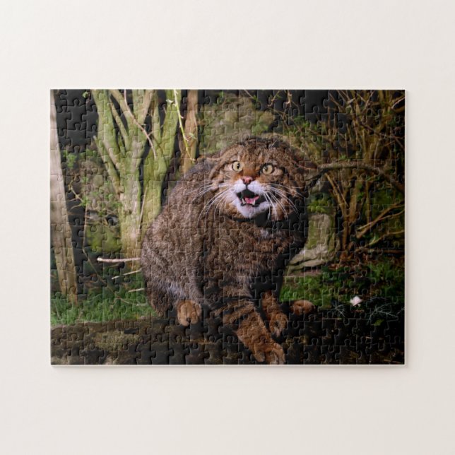 jigsaw - Scottish wildcat Puzzle (Horizontal)