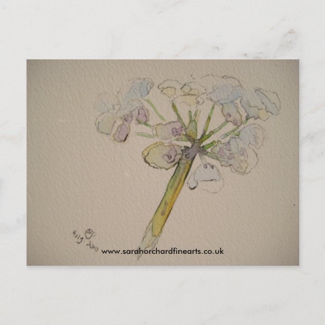 Jigsaw series - Cow parsley  2010 Postcard (Front)