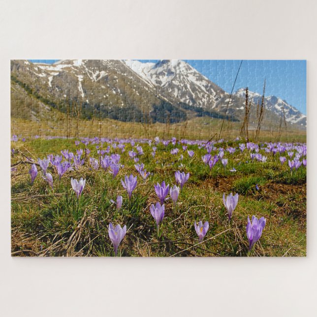 Jigsaws Crocuses Abruzzo Gran Sasso Italy. Jigsaw Puzzle (Horizontal)