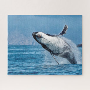 Jigsaws Humpback Whales. Jigsaw Puzzle