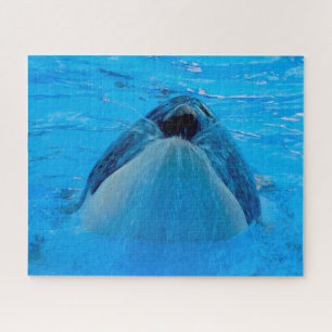 Jigsaws Orcas or Killer Whales Jigsaw Puzzle