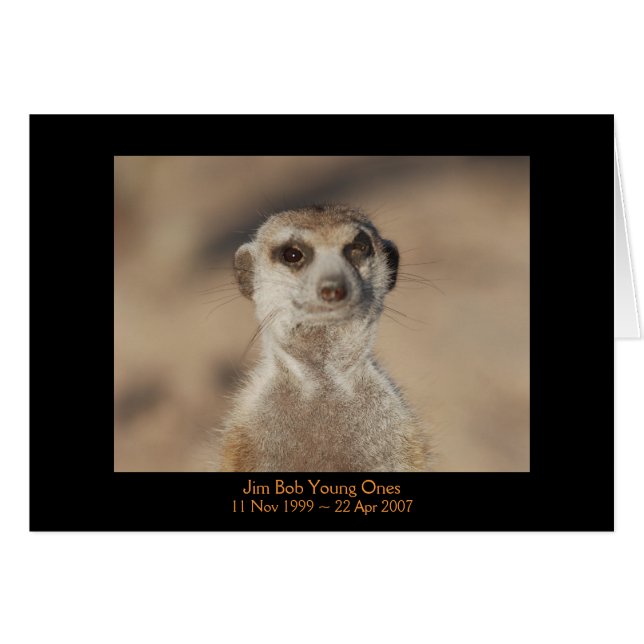 Jim Bob - Legends Card (Front Horizontal)