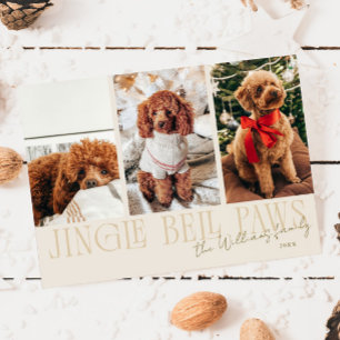 Jingle Bell Paws Christmas Cream Dog Photo  Holiday Card