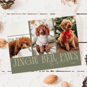 Jingle Bell Paws Christmas Sage Green Dog Photo  Holiday Card