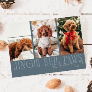 Jingle Bell Paws Christmas Slate Blue Dog Photo  Holiday Card