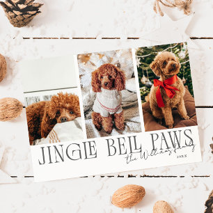 Jingle Bell Paws Christmas White Dog Photo  Holiday Card